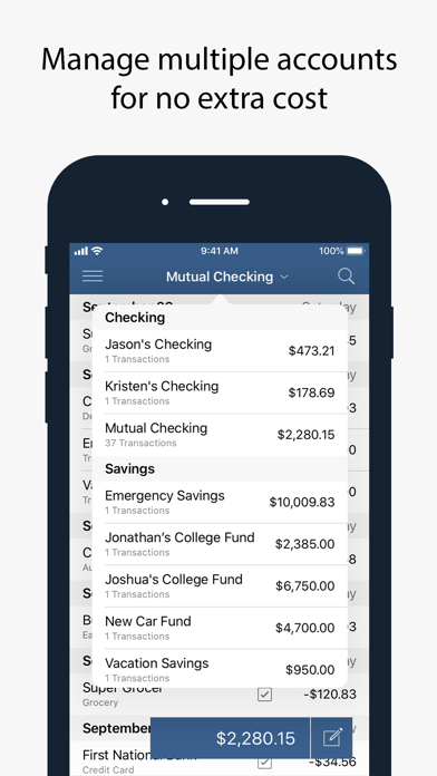 How to cancel & delete Numero: Personal Finance from iphone & ipad 3