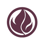 IBN Vinho Novo