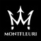 Montfleuri is an online ordering tool APP for our professional fashion customers