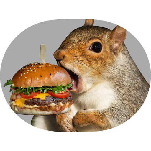 Gourmet Squirrels icon