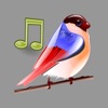 Bird Sounds!!!