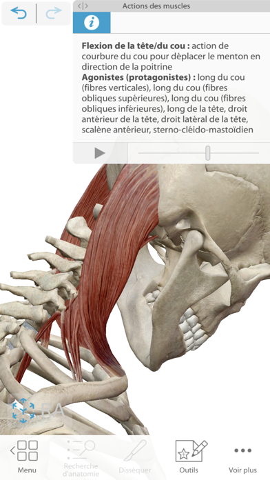 Atlas d'anatomie humaine 2021