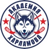 Хоккейная Академия Харламова