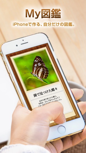 My圖鑑 〜圖鑑創建應用程序〜(圖1)-速報App