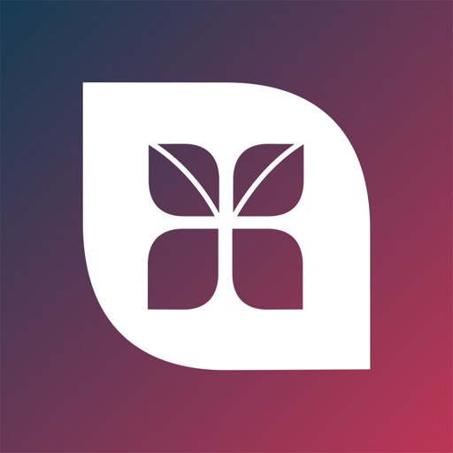 Church Multiplication Network Download