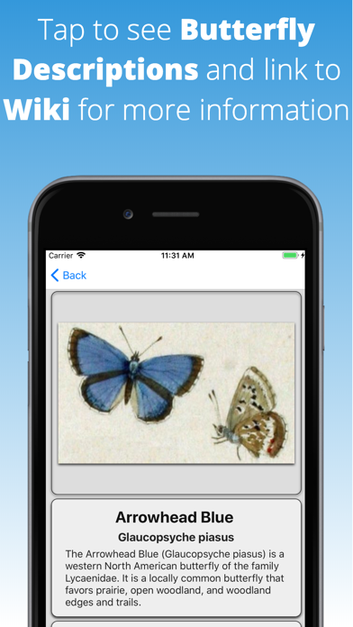 How to cancel & delete Butterfly Dictionary from iphone & ipad 3