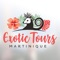 Exotic Tours Martinique est une agence de visites touristiques locale et de services en Martinique ; Effectuant ces activités depuis Mars de l’année 2019