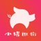 小猪逛街是一款服装市场体验与交易的 App，帮助服装批发市场商户引入大量新买家，帮助普通用户轻松逛街，现场体验时尚潮搭。记得是按批发价拿货哦。