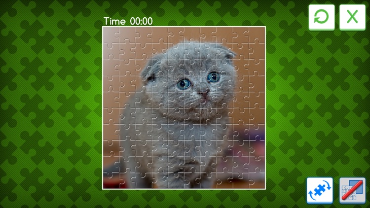 Jigsaw Photo Puzzle Deluxe screenshot-3