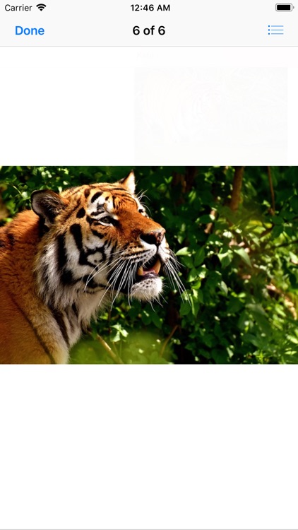 Real Tiger Stickers screenshot-6