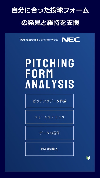 NEC Pitching Form Analysis