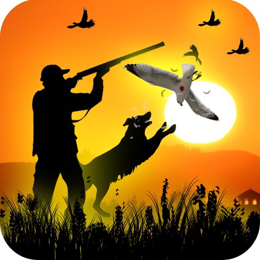 New Birds Hunting Game 3D