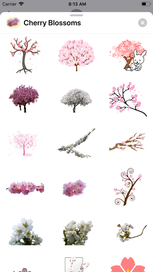 Spring Cherry Blossoms(圖1)-速報App