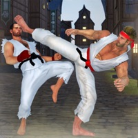 Каратэ Kings Бой 26