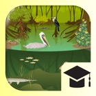 iBiome-Wetland: School Edition