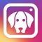 Play some amusing sound effects while your are snapping photos of your dog or puppy