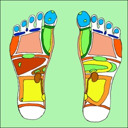 Treat Your Feet - Reflexology