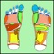 This app is intended for those who practise Reflexology