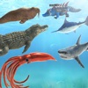 Sea Animal Battle Simulator