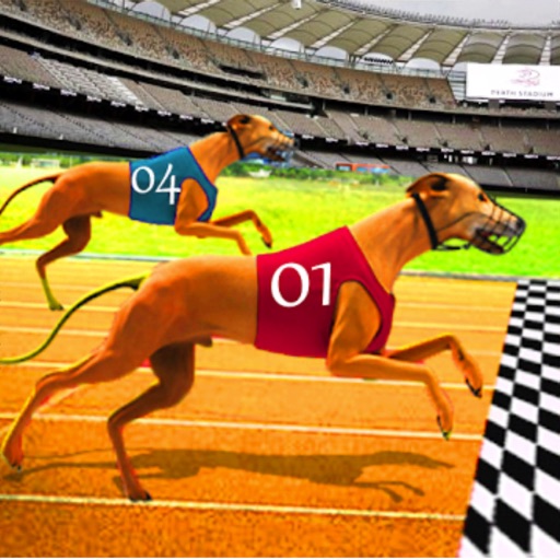 Dog Race Greyhound 3D