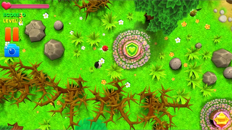 Hedgehog Goes Home screenshot-3