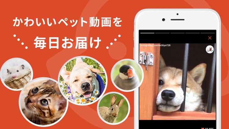 PECO(ペコ):飼い主のための機能充実ペットアプリ