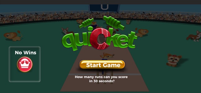 Quicket Cricket