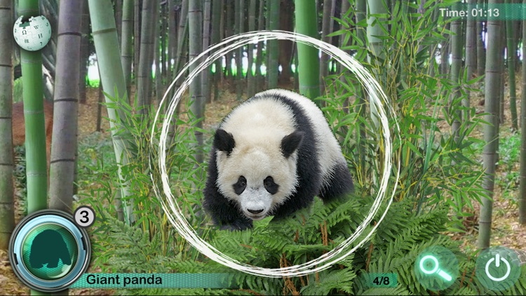 Hidden Object Games - Animals