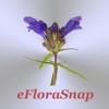 eFloraSnap