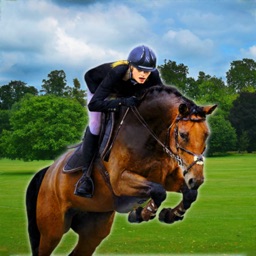 Jumping Horse Riding: 3d