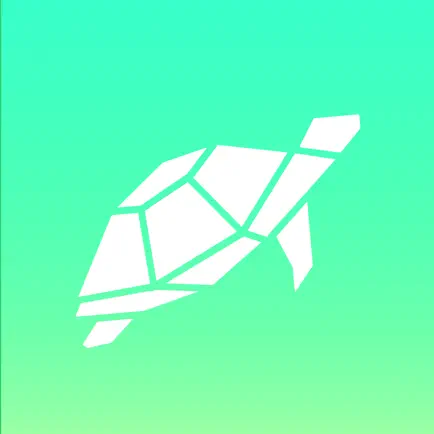 Turtle - Challenge the world! Читы