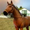 My Caring Horses Farm Pony 3D