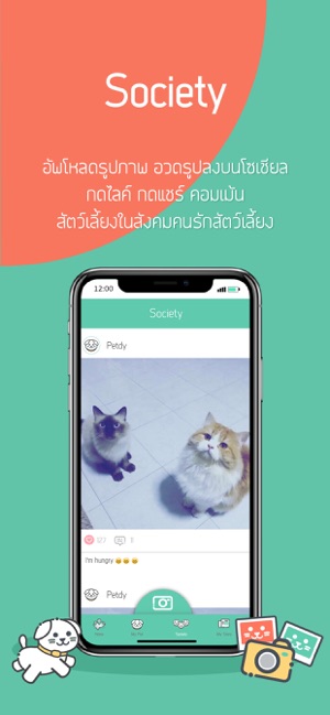 PETDY(圖5)-速報App