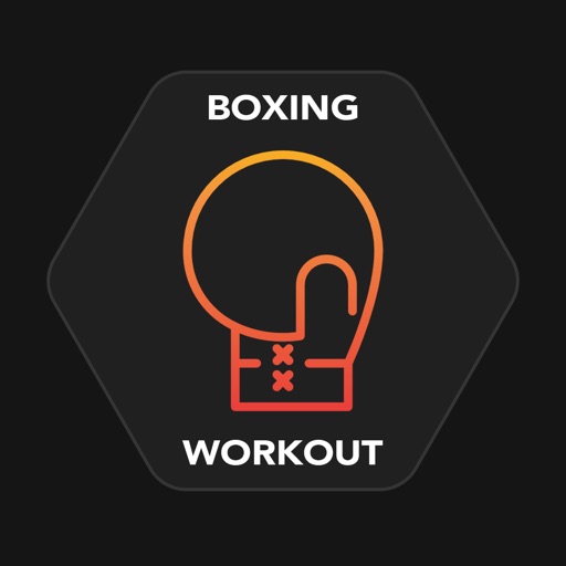 Boxing Workout with Training