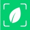 Plantyx makes identifying plants easier than ever