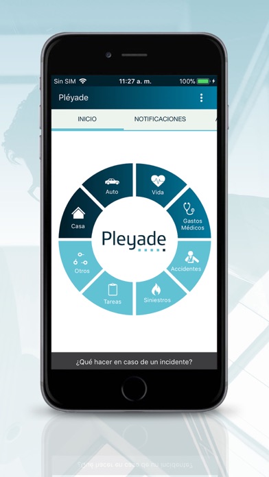 Pléyade MX screenshot 2