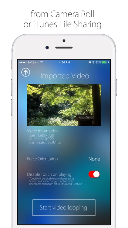 Infinite Loop Player Pro