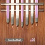 Get Kalimba Real for iOS, iPhone, iPad Aso Report