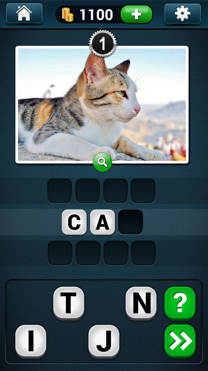 PicWords™