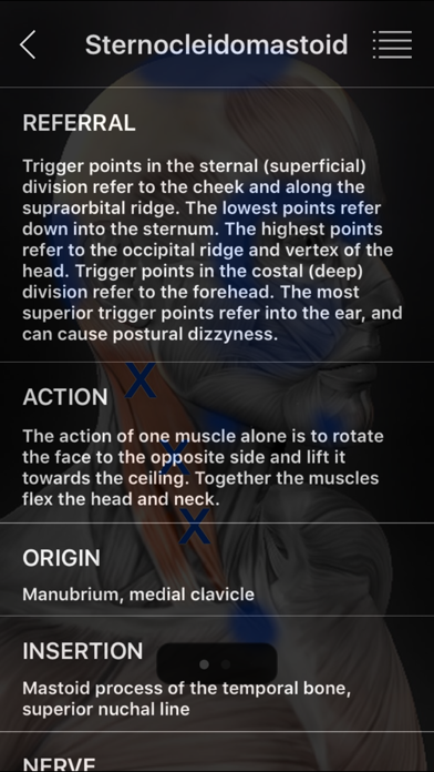 Muscle Trigger Points Screenshot 3