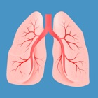 Pulmonology Medical Terms Quiz