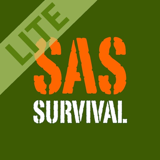 SAS Survival Guide - Lite