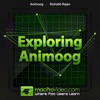 Explore Course for Animoog