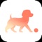 Puppito is the easiest Dog Training App to get a paw-fectly trained puppy in 8 weeks