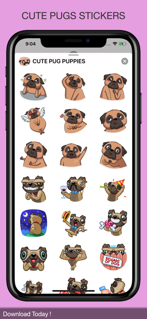 CUTE PUG PUPPIES(圖3)-速報App