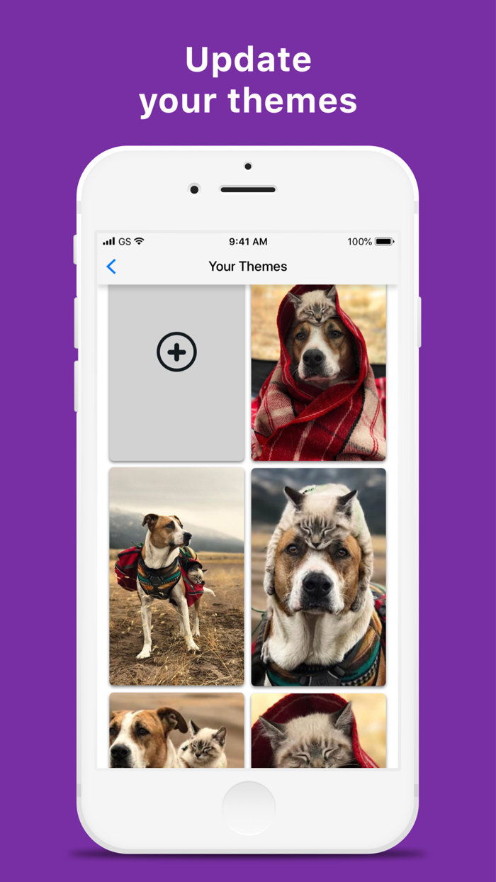 Color Your Call Theme Contact
