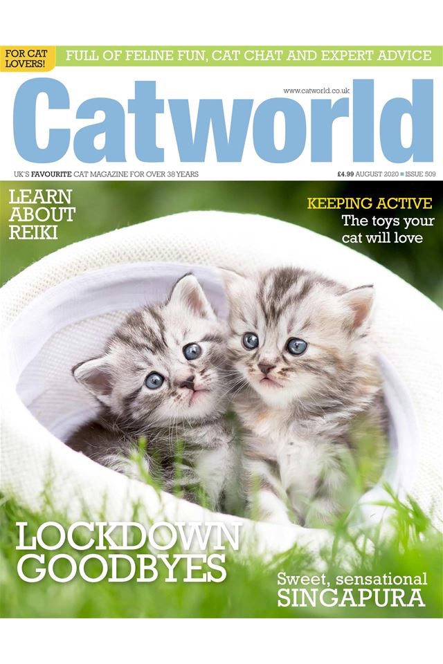 Catworld Magazine screenshot 2