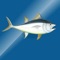 CatchLog lets you record all your trophy fishing catches