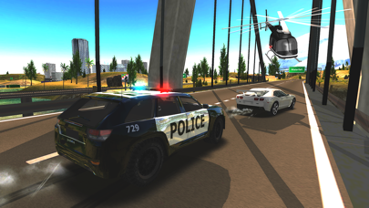 Crime City Police Car Driver screenshot 3