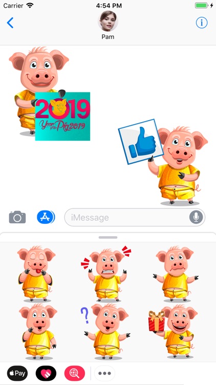 Golden Chinese Pig Year 2019